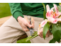 Man cutting flower stems with a gardening multi-tool.