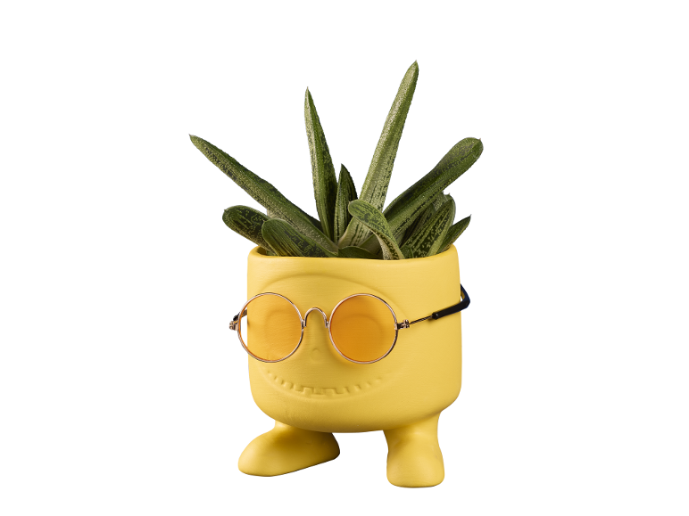Yellow smiling face flower pot with orange sunglasses and a succulent plant.