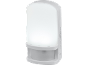 White LED night light with motion sensor and color change options