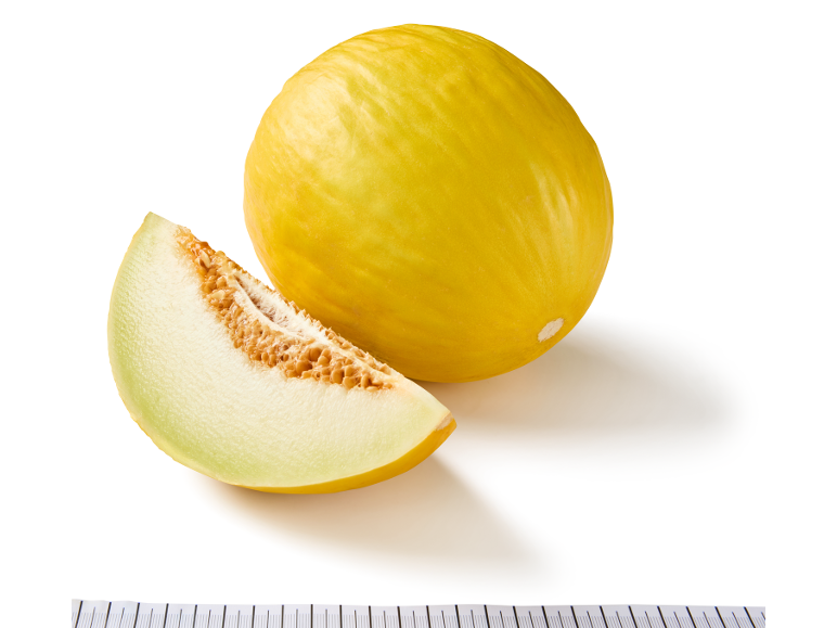 Yellow melon with a slice on a white background