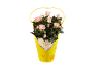 Pink rose bush in a yellow basket with heart-shaped handles and the label 'Rosa'.