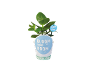 Potted plant with a 'BLOOM YOUR ROOM' label and a matching sign.