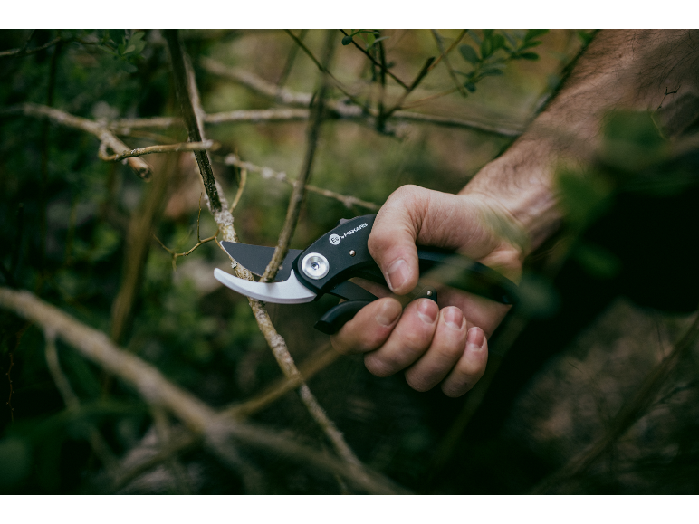 Hand holding pruning shears, trimming a branch in a garden.