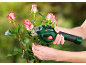 Electric pruning shears cutting a rose stem, with hands holding the tool and plant.