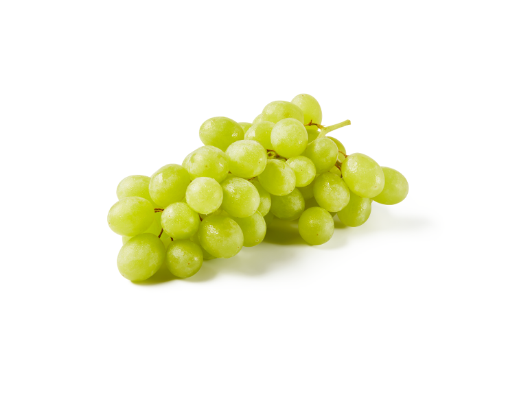 Fresh bunch of white grapes with water droplets on a white background.
