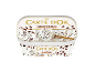 White ice cream tub with stracciatella ice cream and chocolate pieces, with a spoon inside.