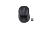 Wireless mouse and USB receiver.