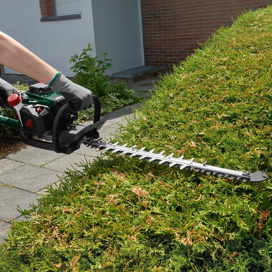Person trimming a hedge with a hedge trimmer.