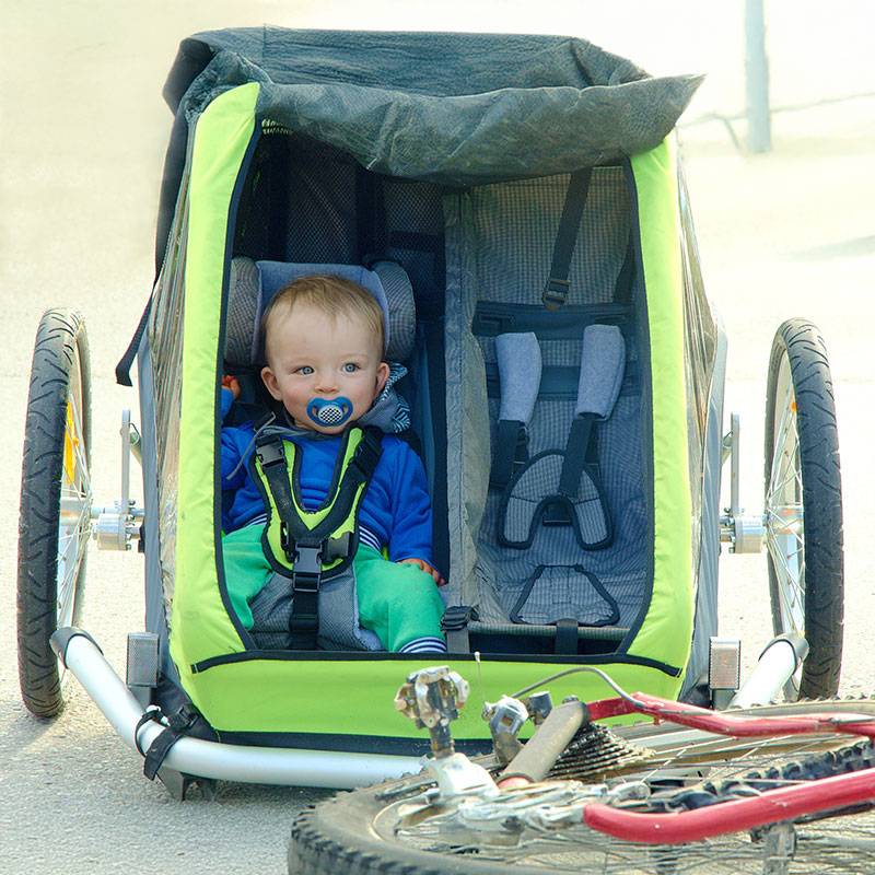 Baby in a bike trailer.