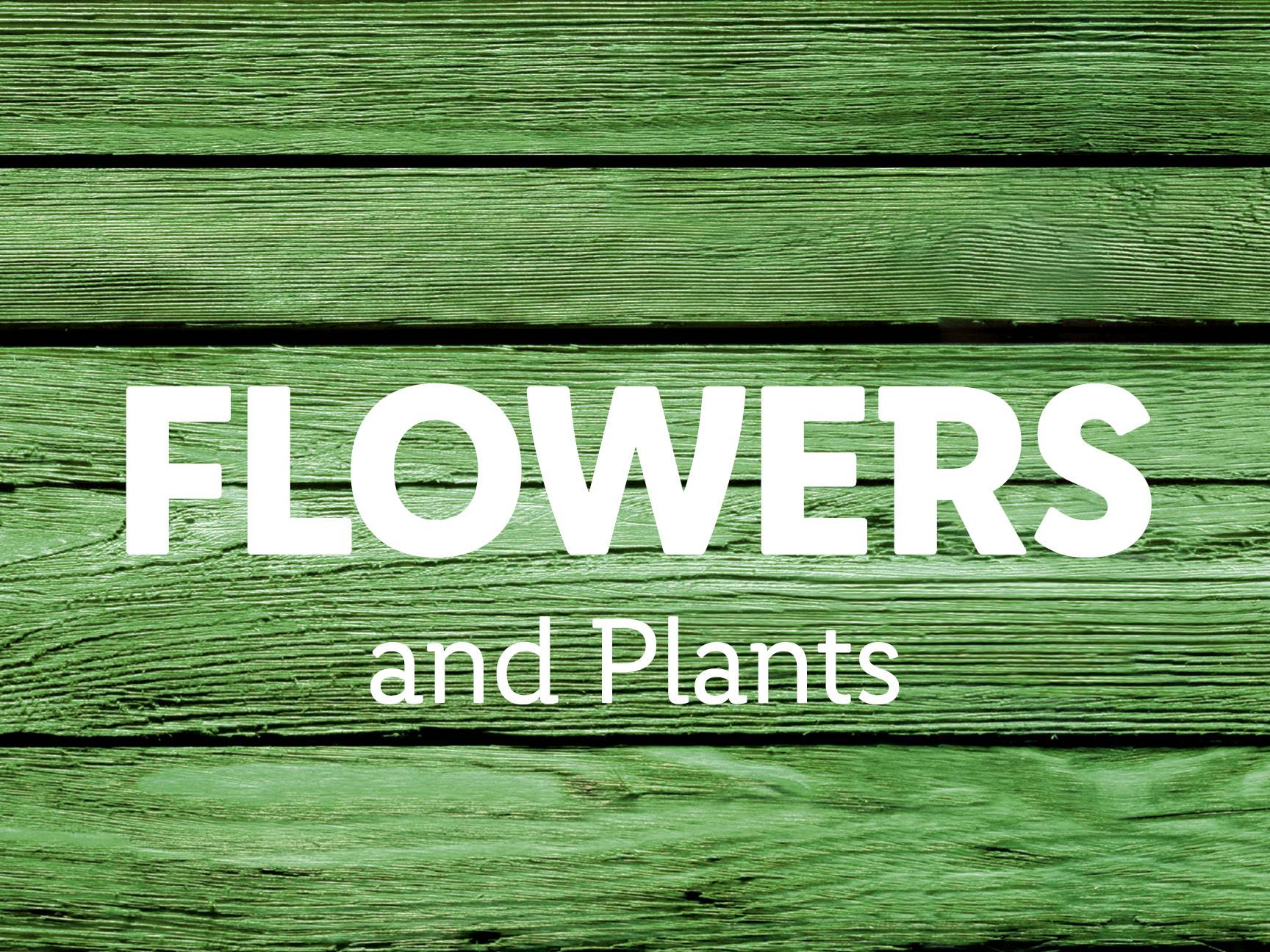 Test your green fingers!