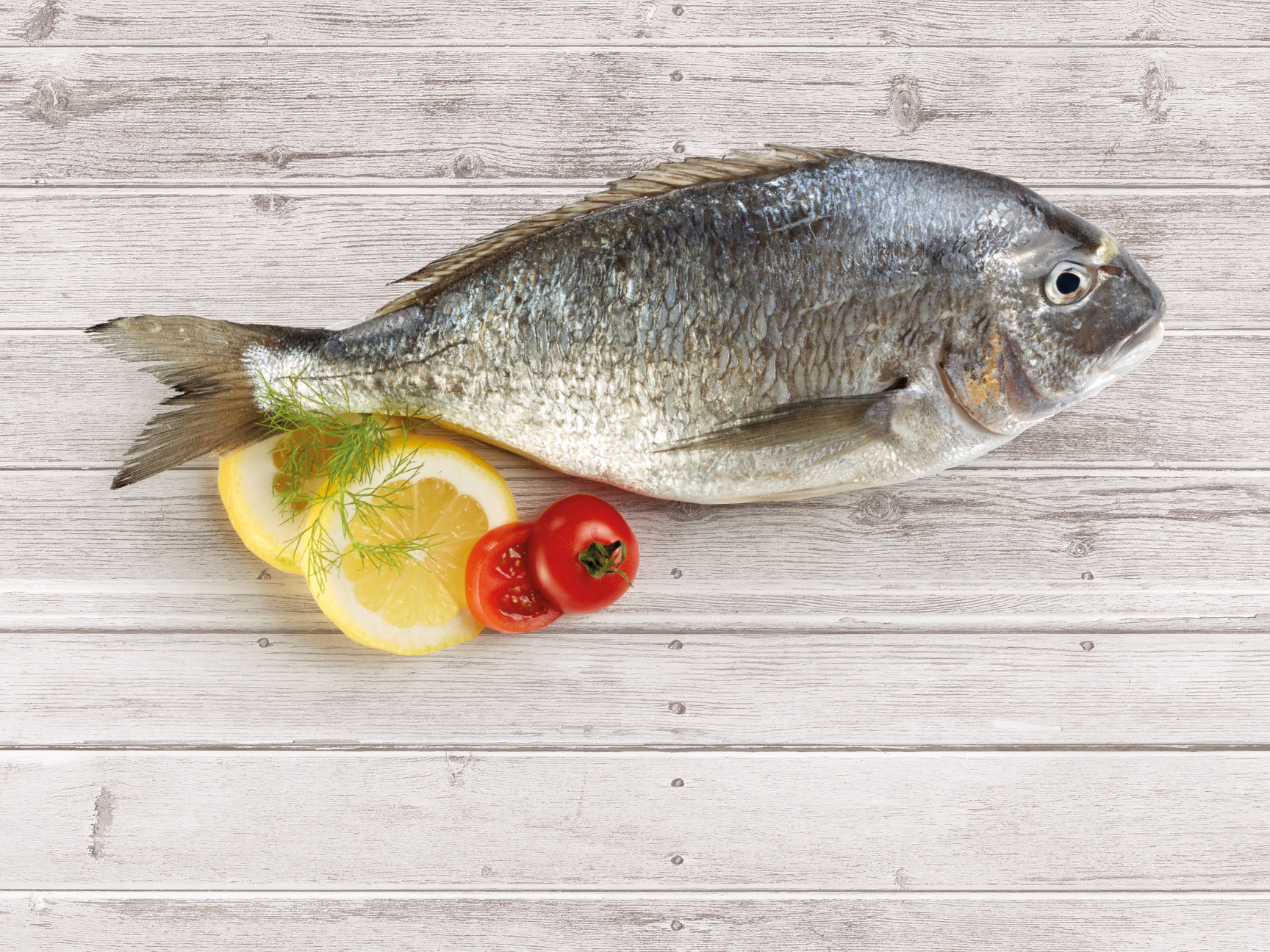 Meat and Fish
