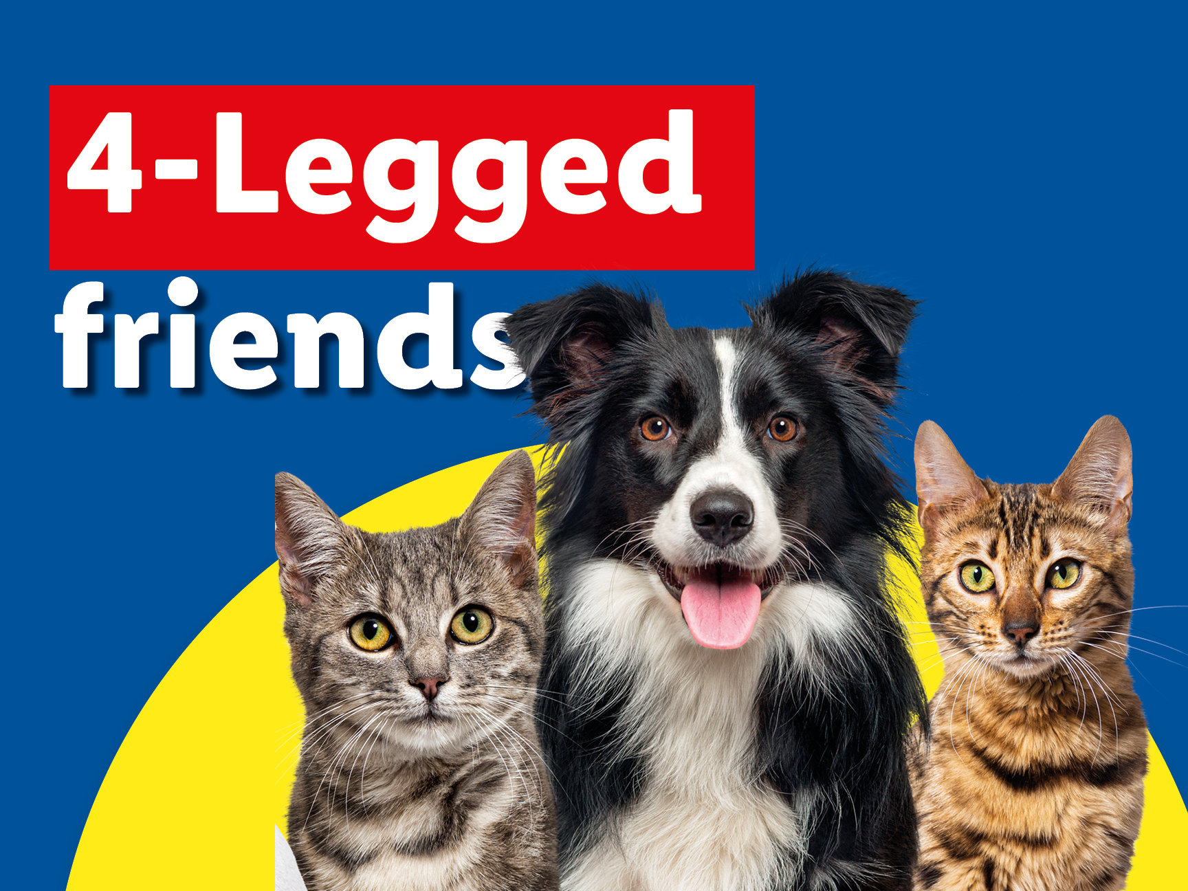 4 - Legged friends
