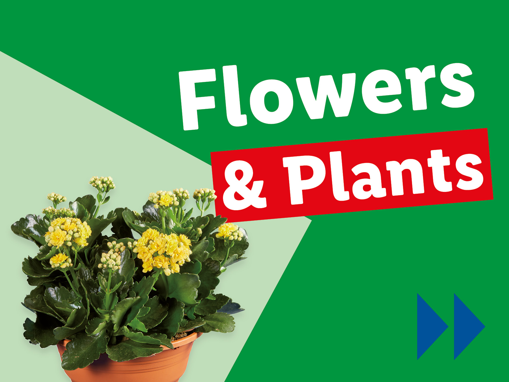 Flowers & Plants