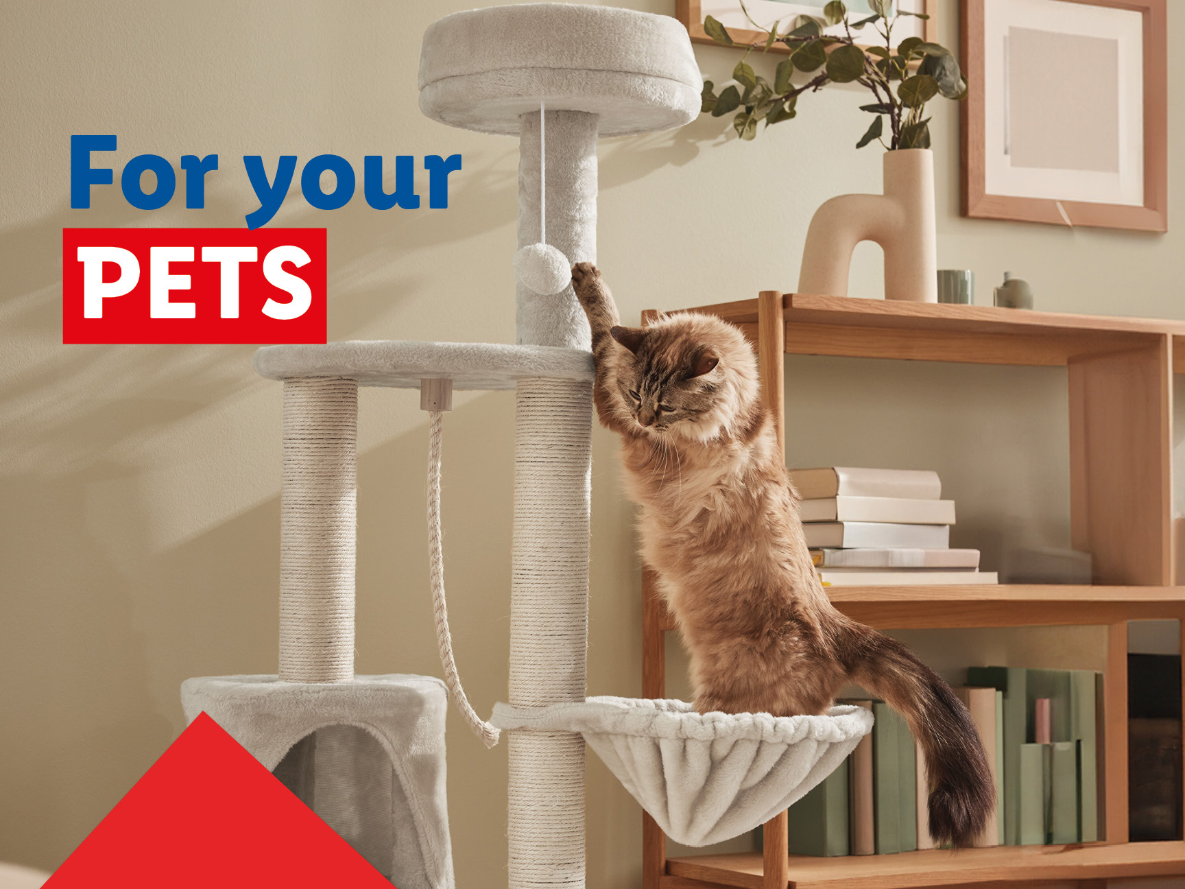 A fluffy cat plays on a beige cat tree in a modern living room. The text "For your PETS" is shown.