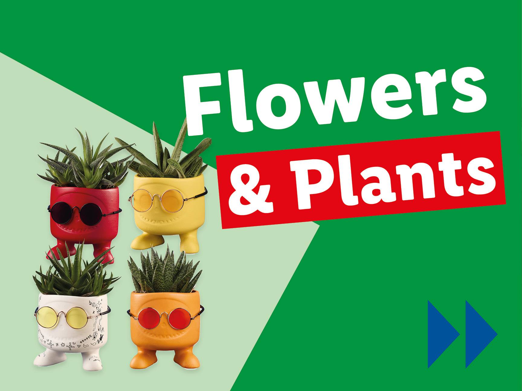 Funky succulent plants in character pots with sunglasses.