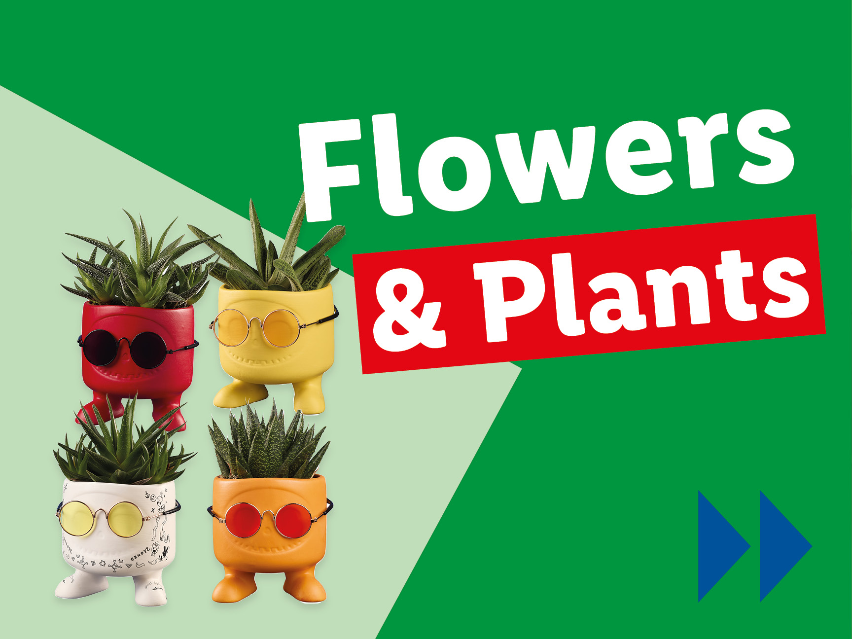 Funky succulent plants in playful glasses-wearing pots.