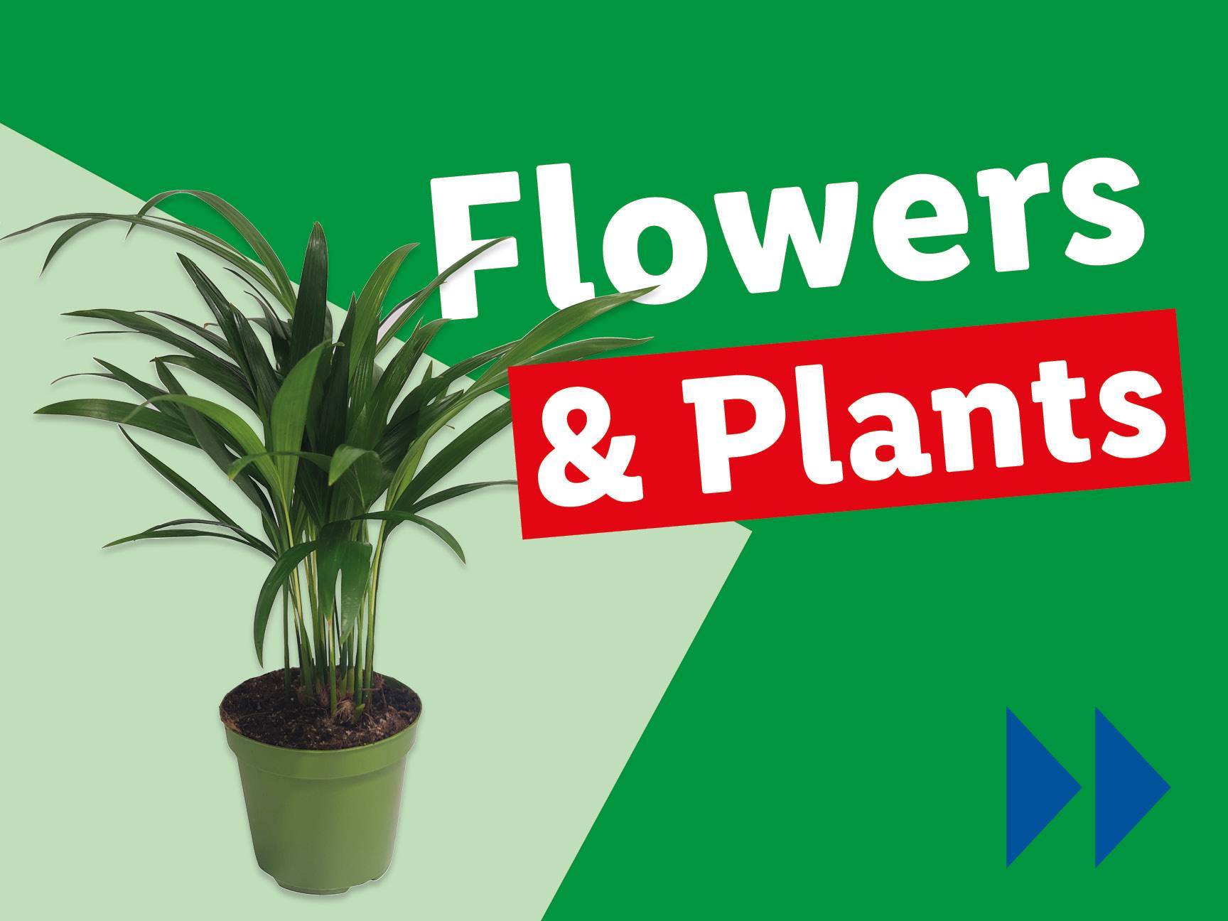 A potted plant with text 'Flowers & Plants' on a green background.