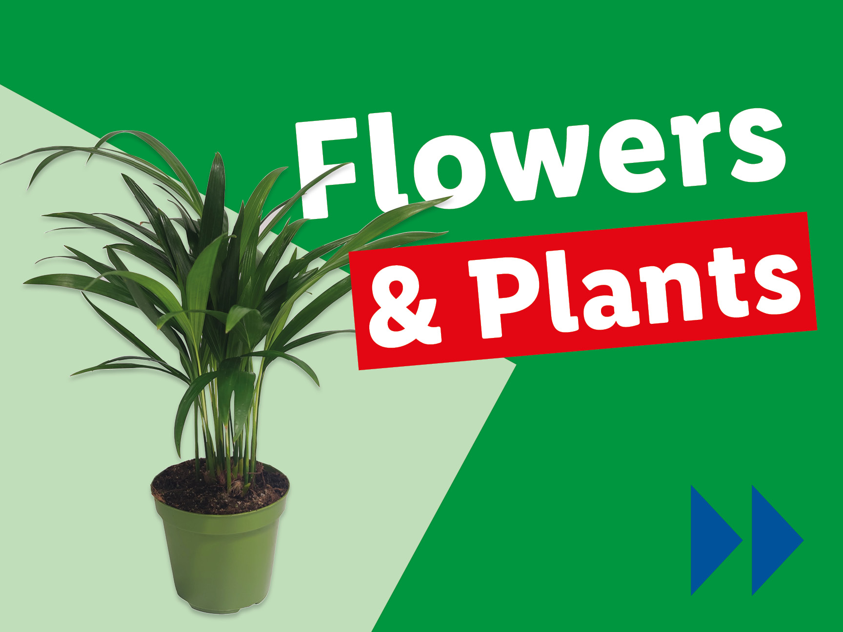 A potted plant with the text 'Flowers & Plants' on a green background.