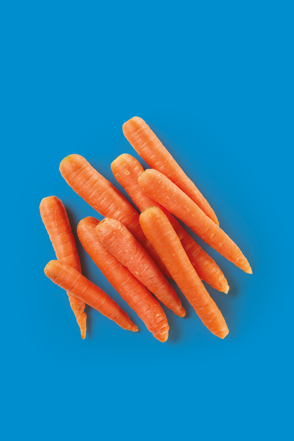 A pile of fresh, orange carrots on a vibrant blue background.