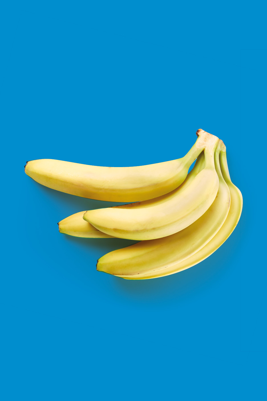 A bunch of ripe yellow bananas against a vibrant blue background.