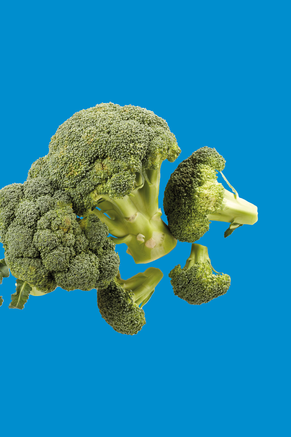 Fruit and Vegetables