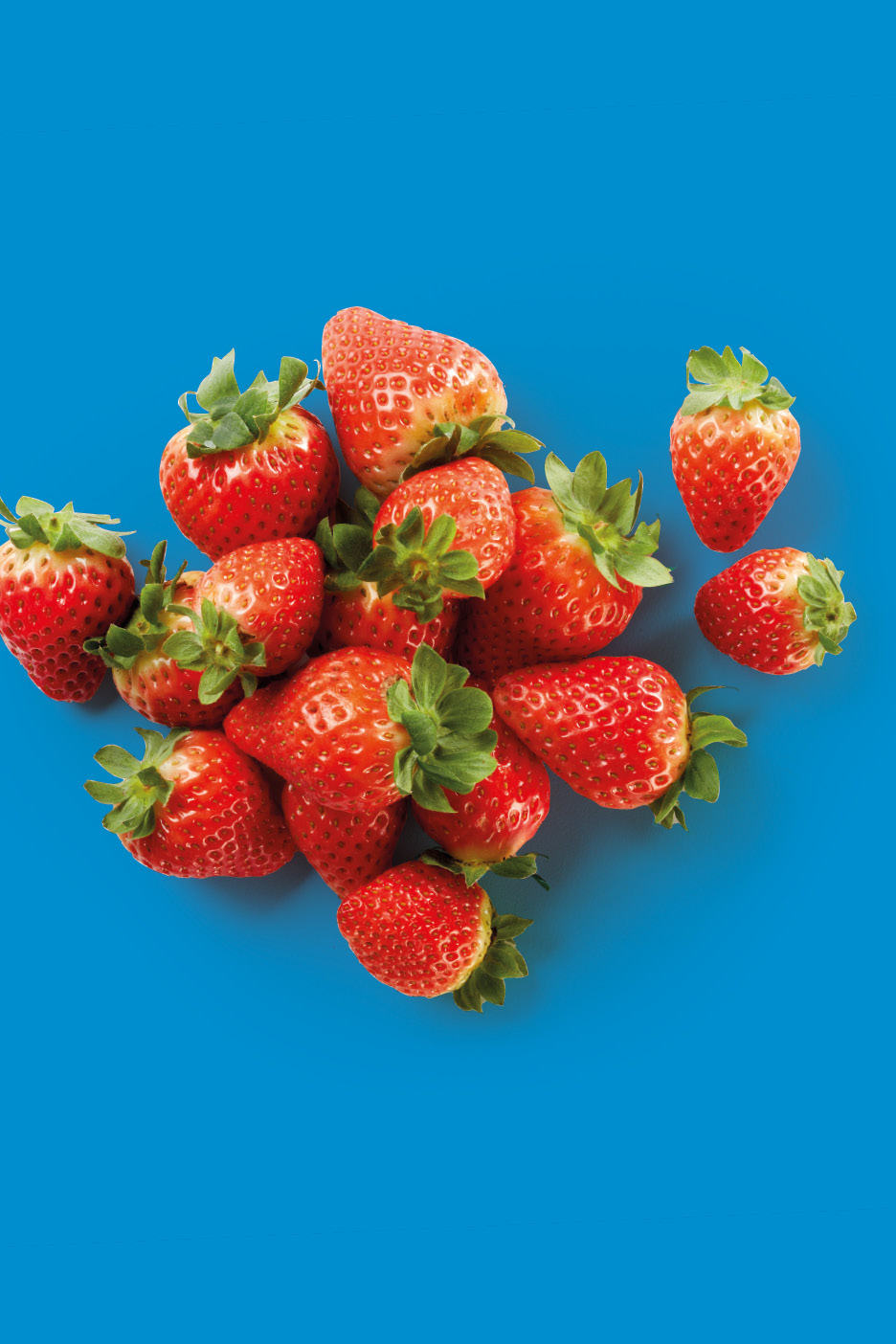 A vibrant pile of fresh, red strawberries with green stems on a blue background.
