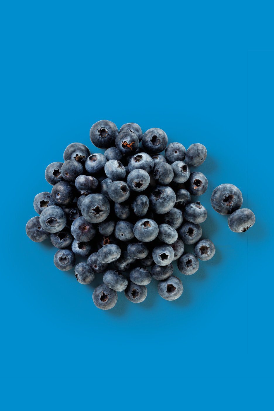 A pile of fresh blueberries on a vibrant blue background.