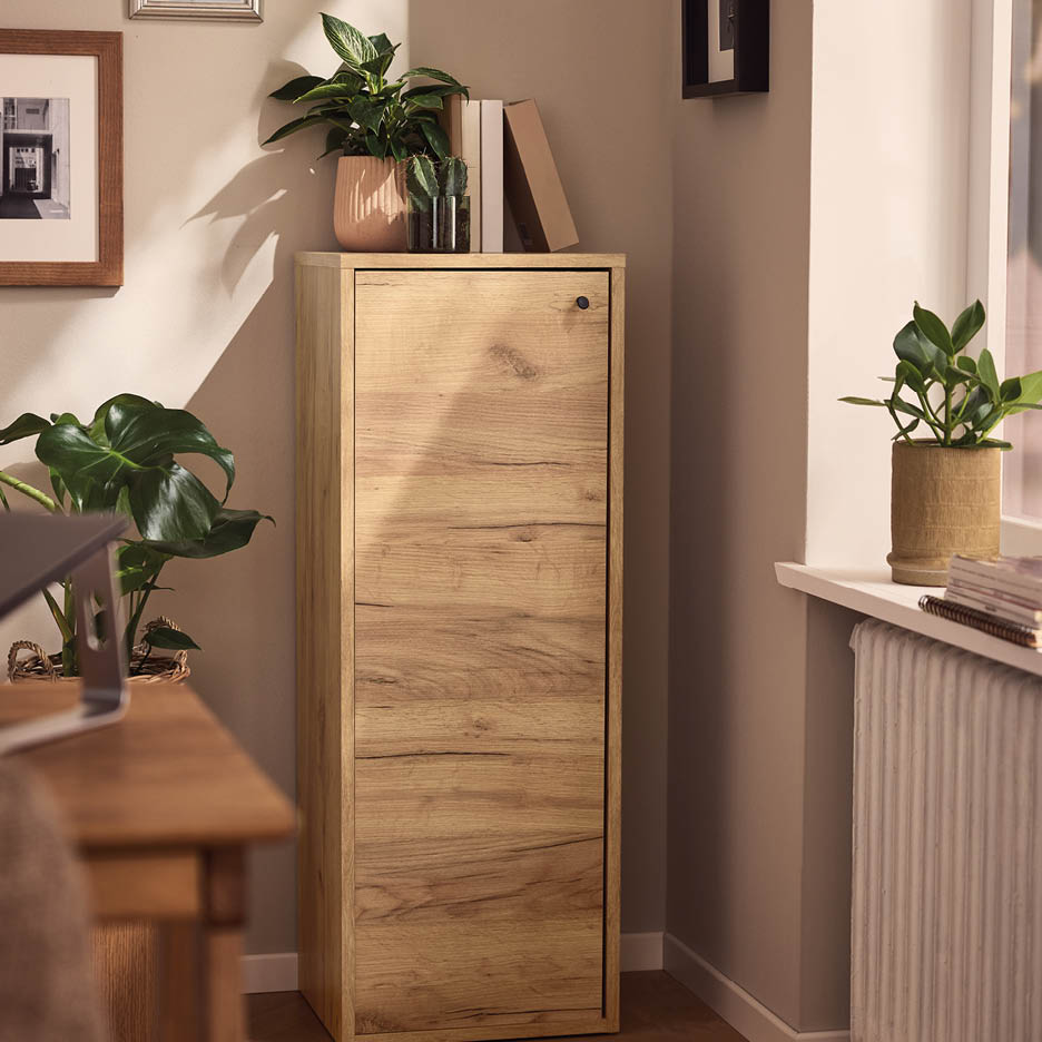 Tall wooden cabinet with plants and books on top, next to a window with a plant.