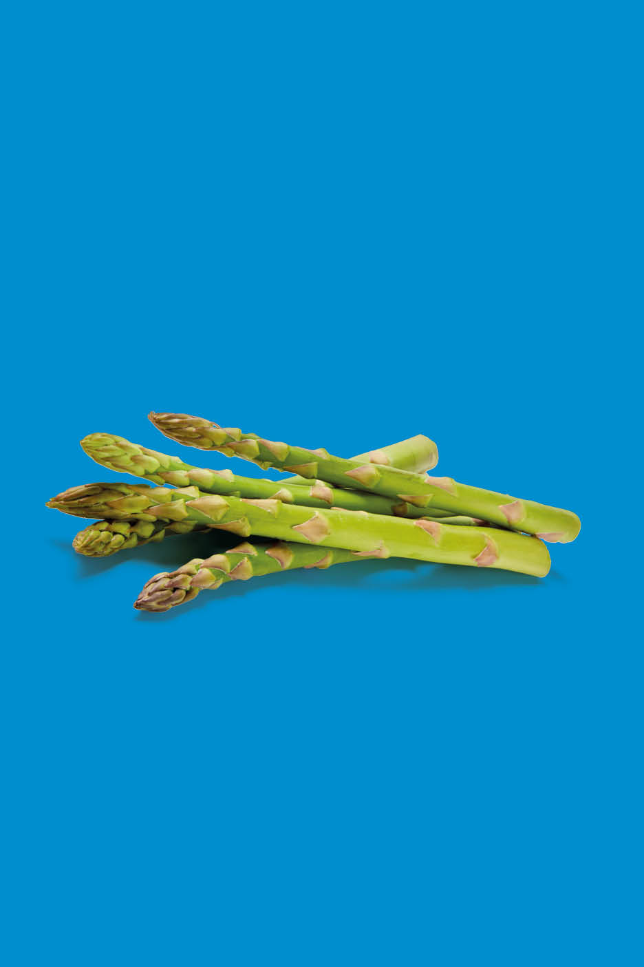 A pile of fresh green asparagus spears on a vibrant blue background.