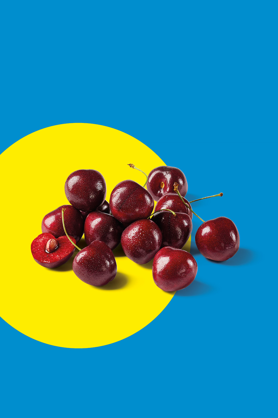 Pile of fresh, dark red cherries with water droplets, some with stems, on a yellow circle and blue background.