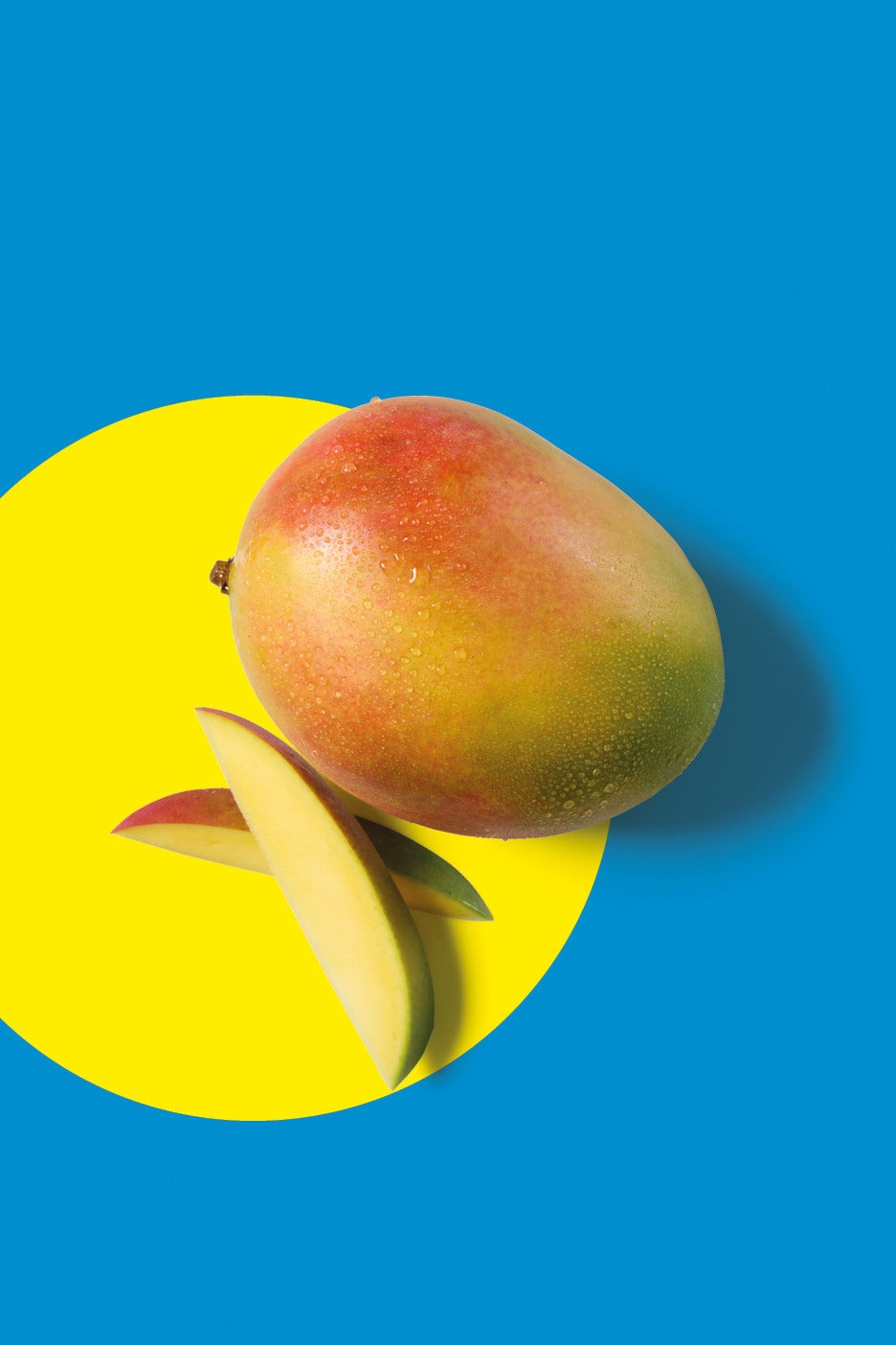 Fresh mango and slices on a yellow circle against a blue background.