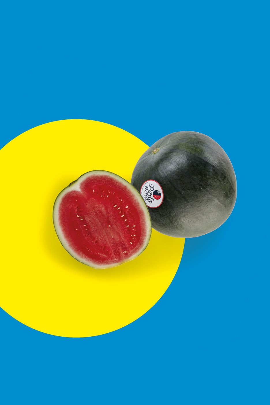 Fruits & Vegetables 