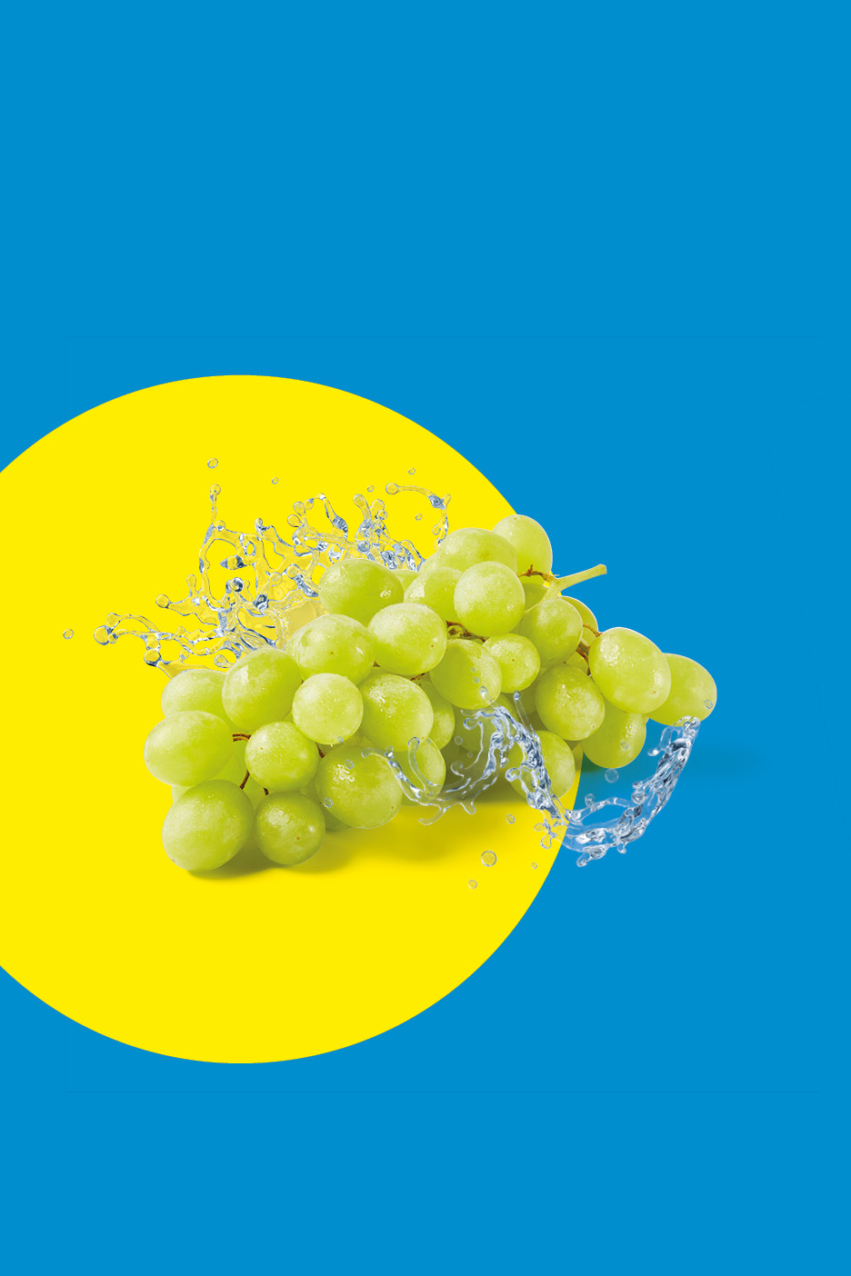 Green grapes with water splashes on a yellow circle and blue background.