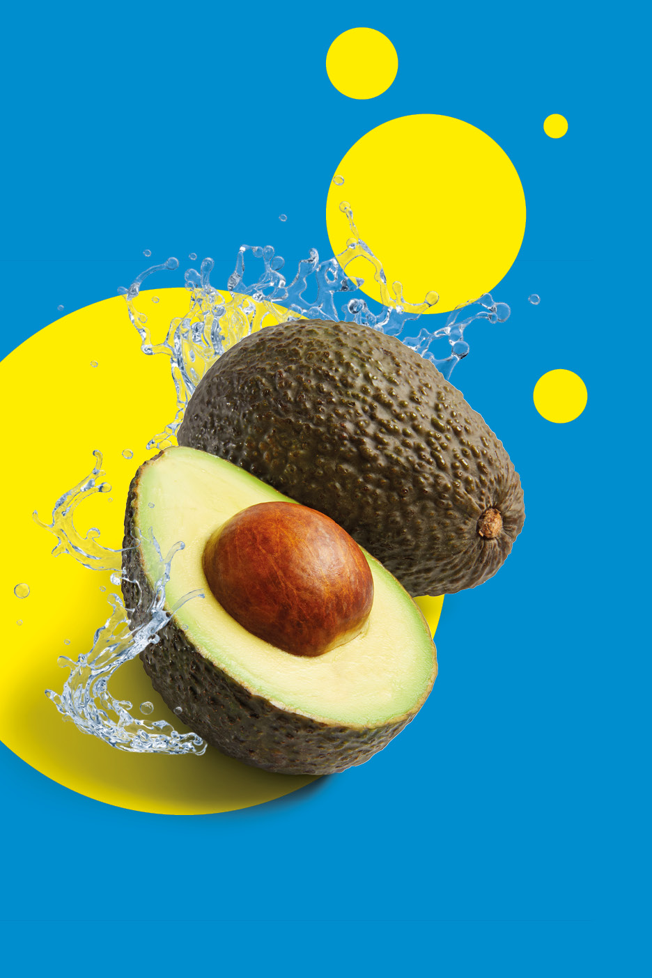 Whole and halved avocado with water splashes on a blue and yellow background.