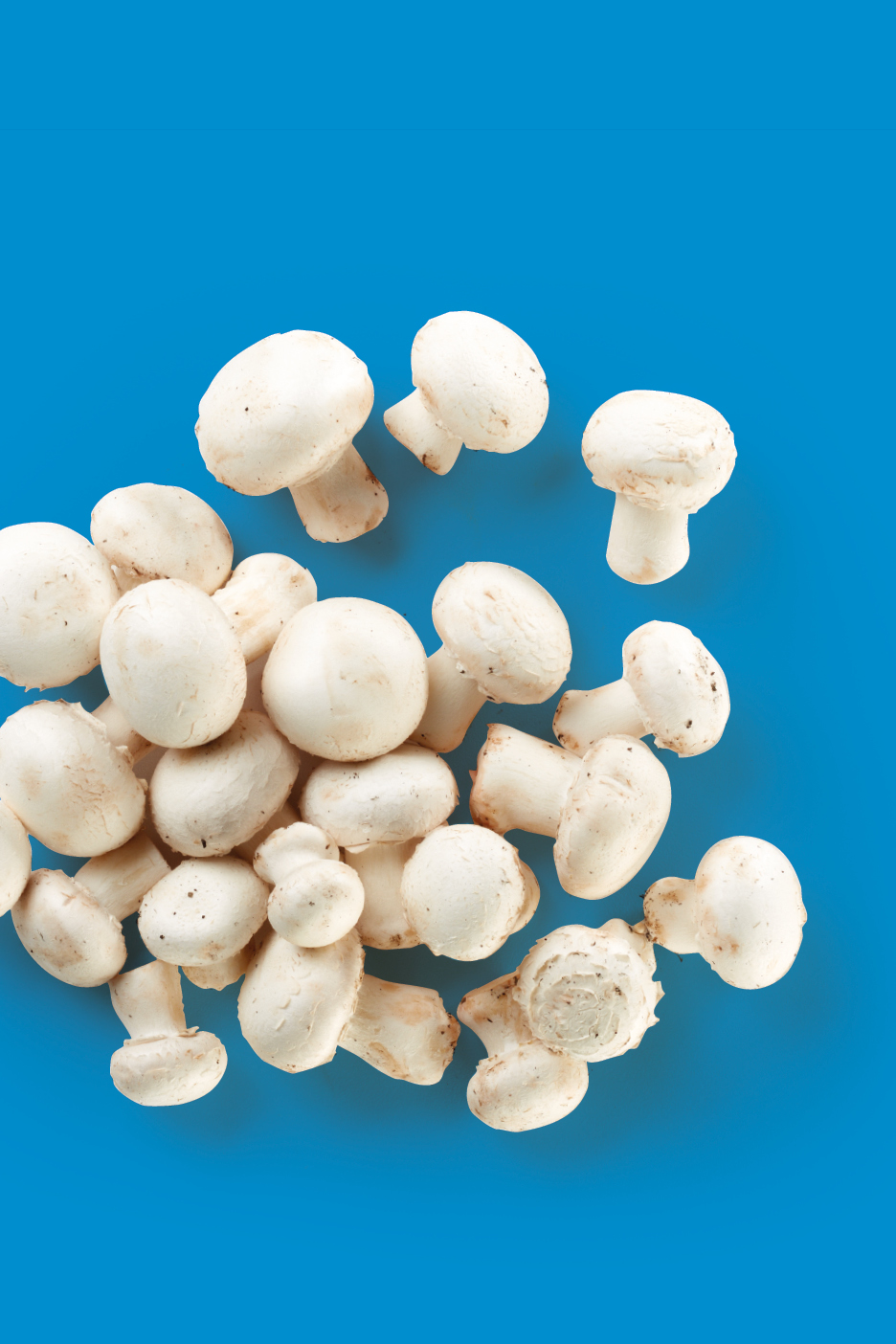 A pile of fresh white button mushrooms scattered on a blue background.