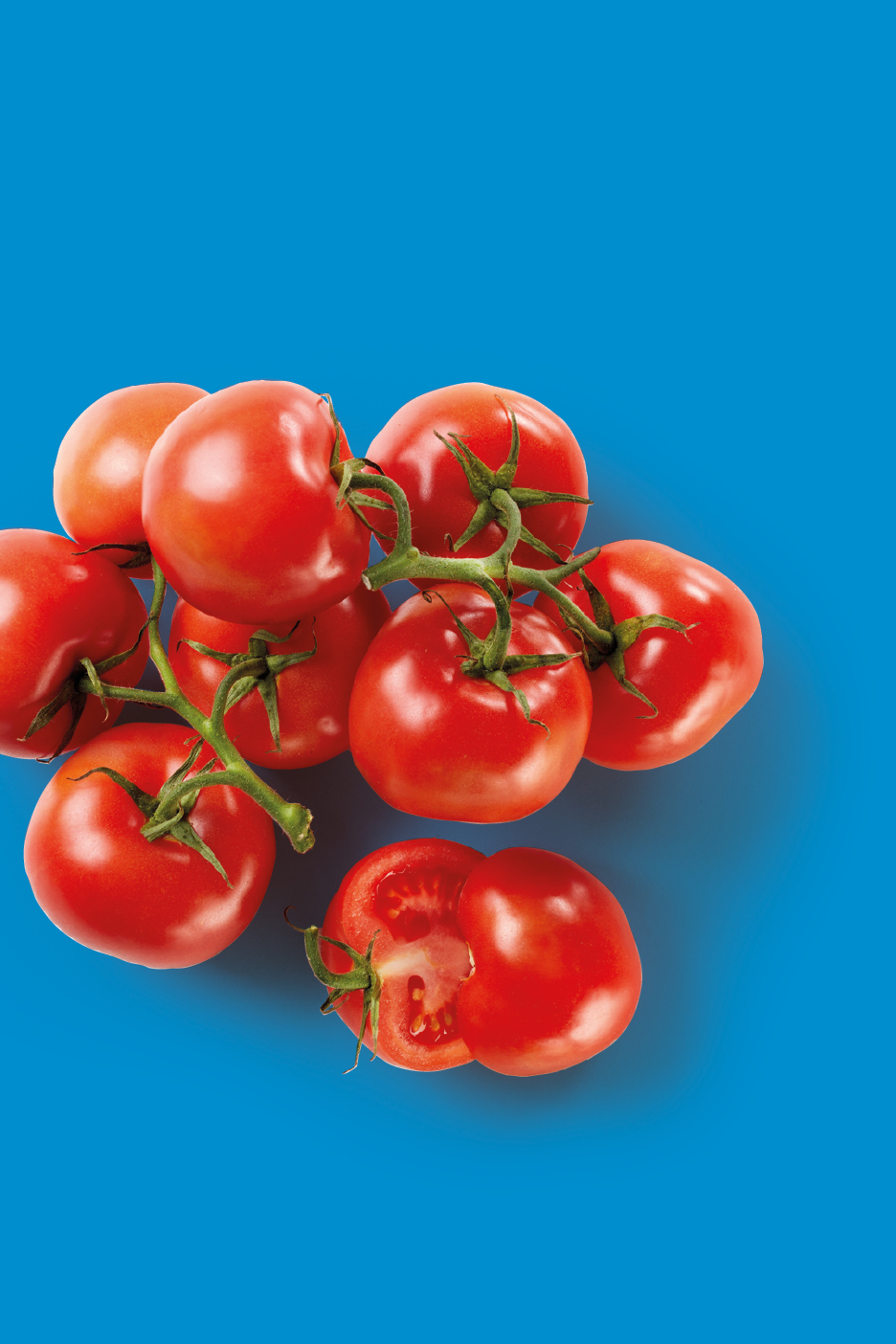 A cluster of ripe red tomatoes on the vine, with one cut in half, against a blue background.