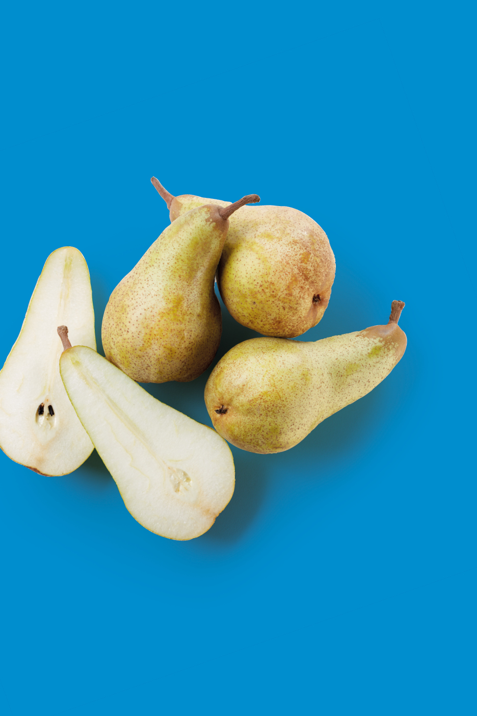 Several green and brown pears, some whole and some cut in half, on a blue background.
