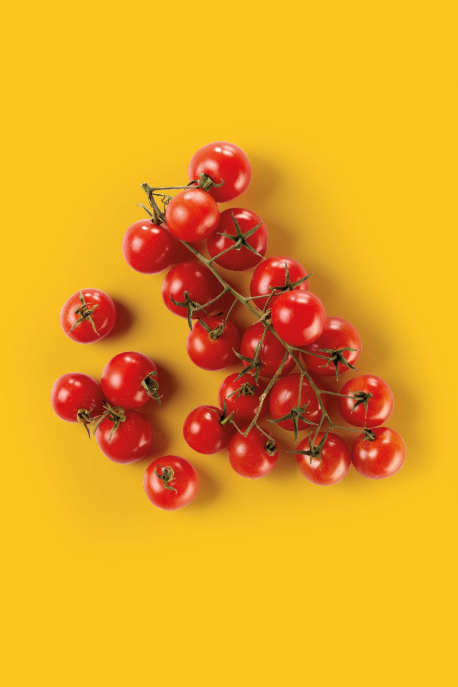 A cluster of fresh red cherry tomatoes on a bright yellow background.
