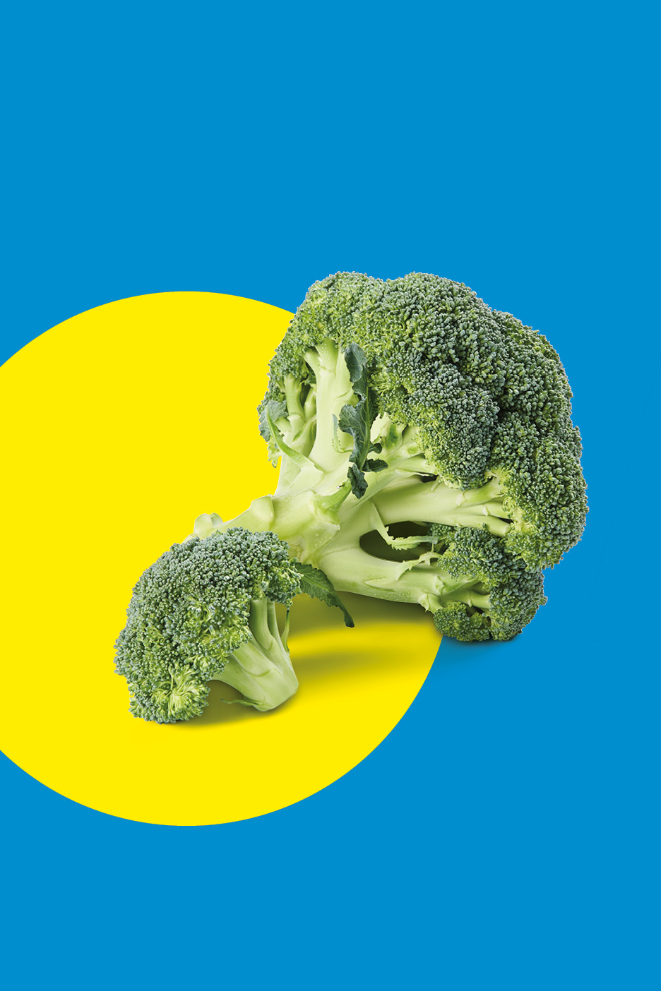 Fresh broccoli florets on a vibrant yellow and blue background.