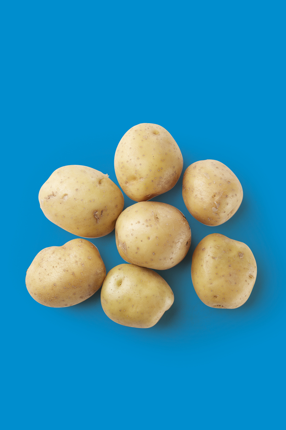 Seven fresh, whole potatoes arranged on a blue background.