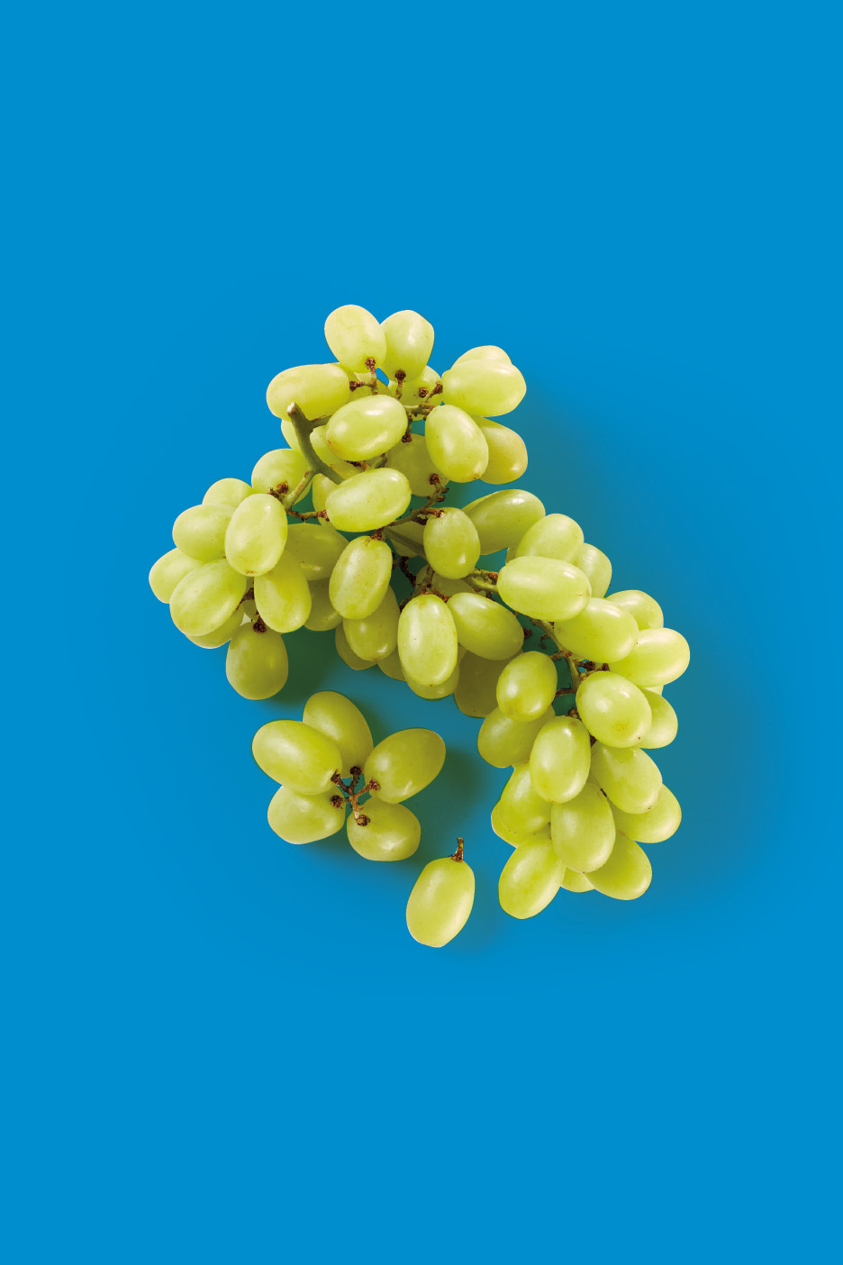 A bunch of green grapes on a blue background.