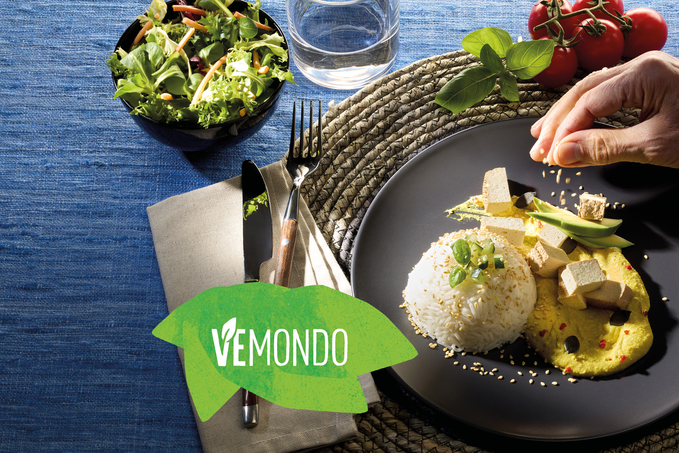 Vemondo vegan meal with rice, tofu, hummus, avocado, and a side salad.