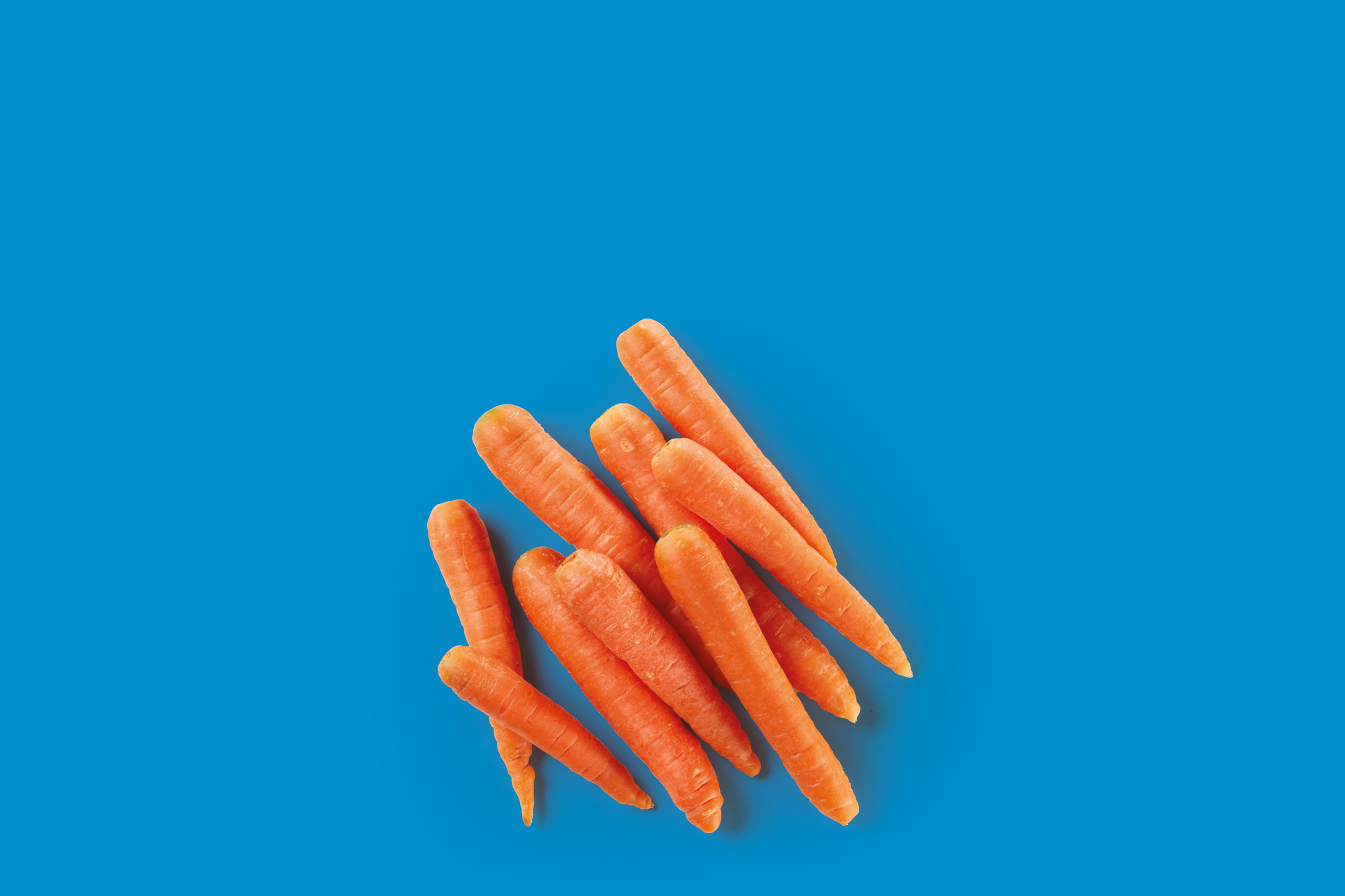 A pile of fresh, vibrant orange carrots against a bright blue background.