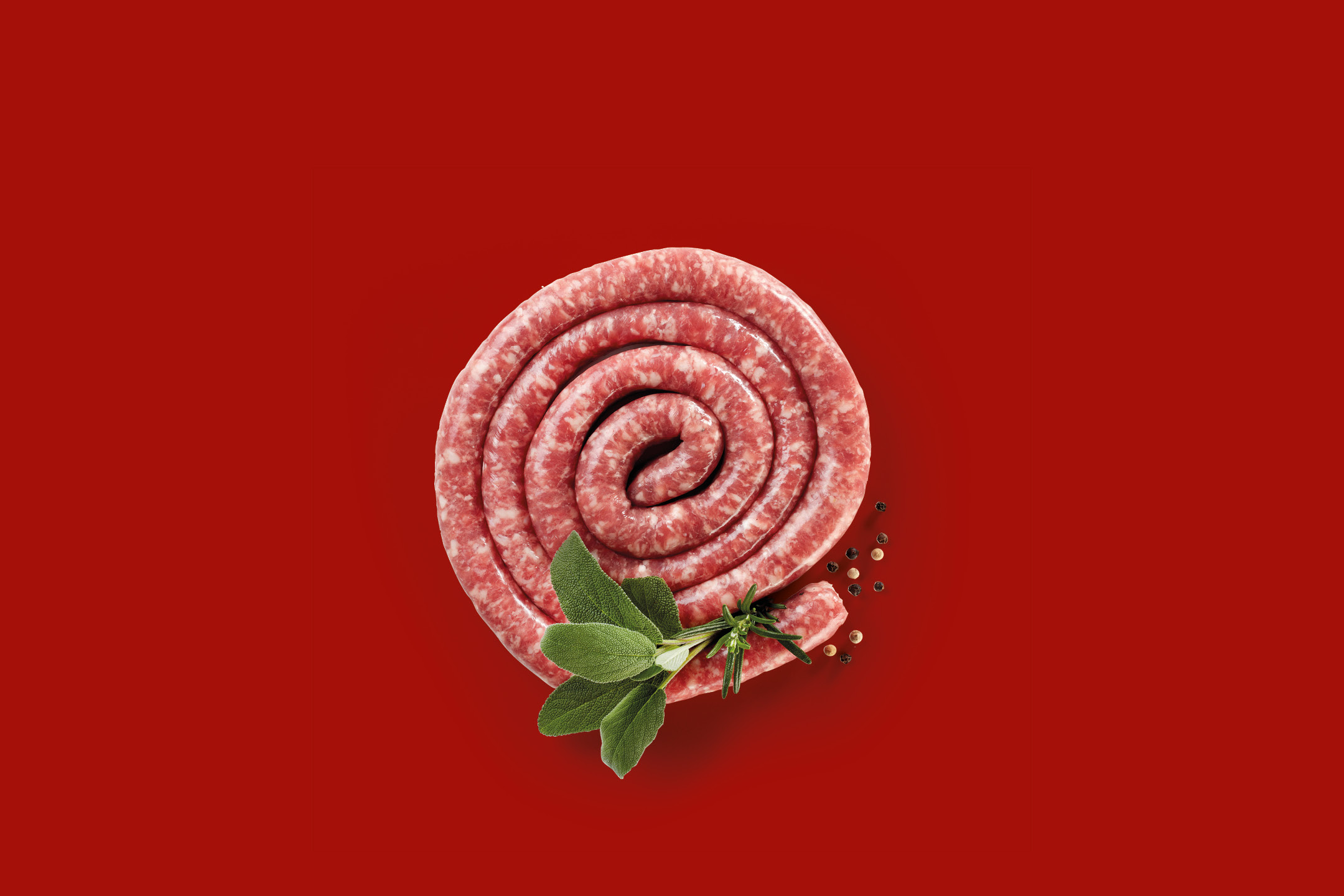 Raw sausage coil with sage, rosemary, and peppercorns on a red background.