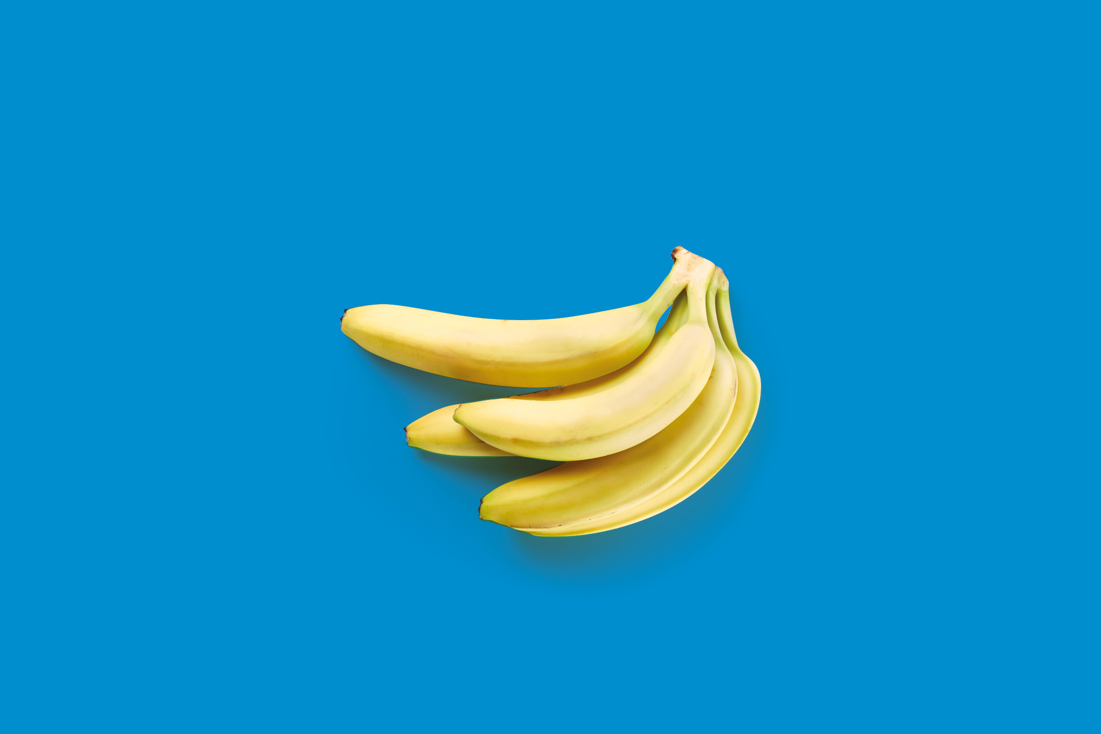 A bunch of ripe yellow bananas on a vibrant blue background.