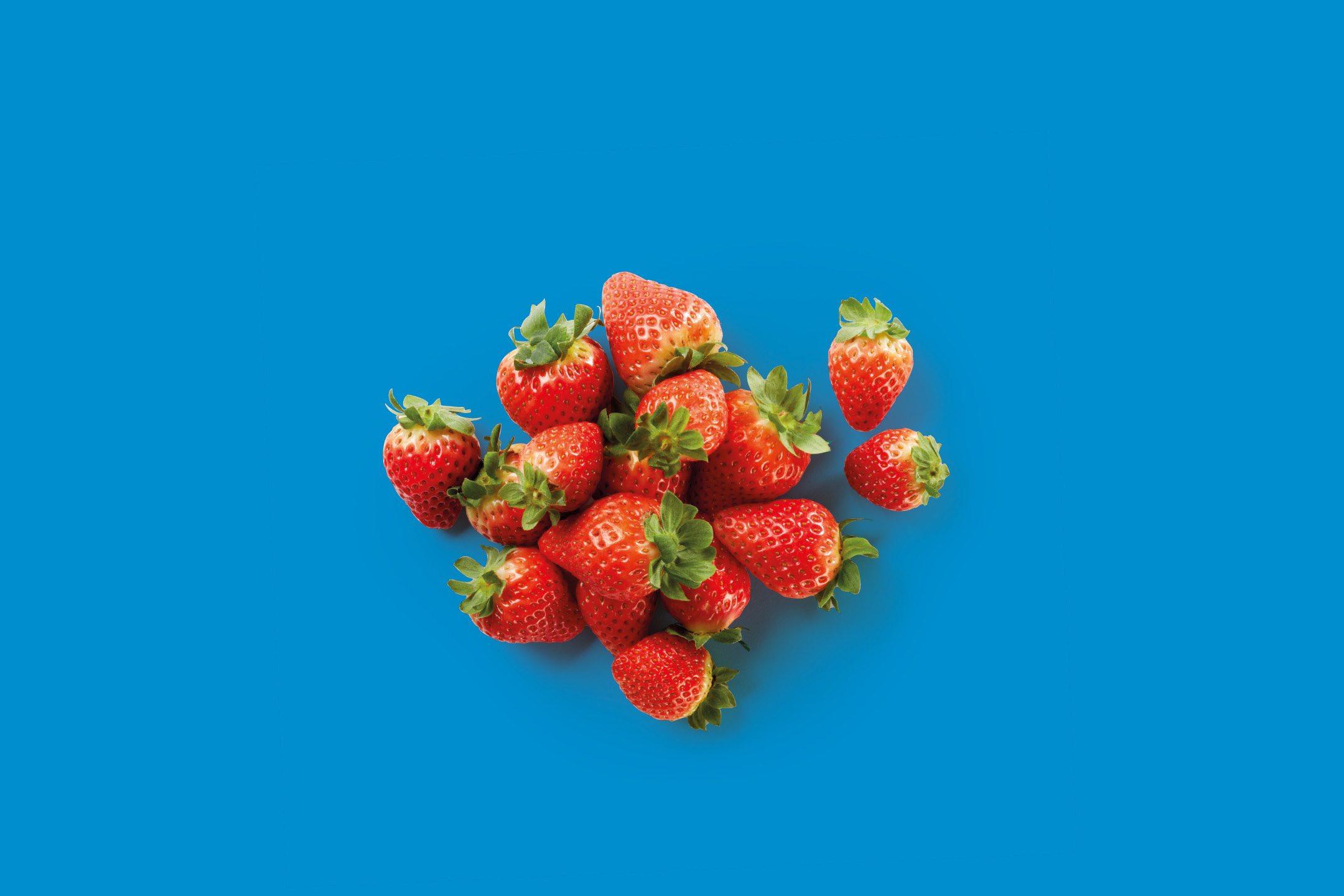A pile of fresh, ripe strawberries with green stems on a vibrant blue background.