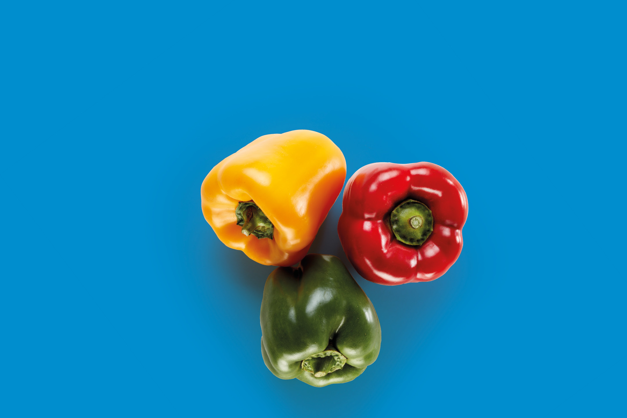 Three bell peppers in yellow, red, and green on a blue background.
