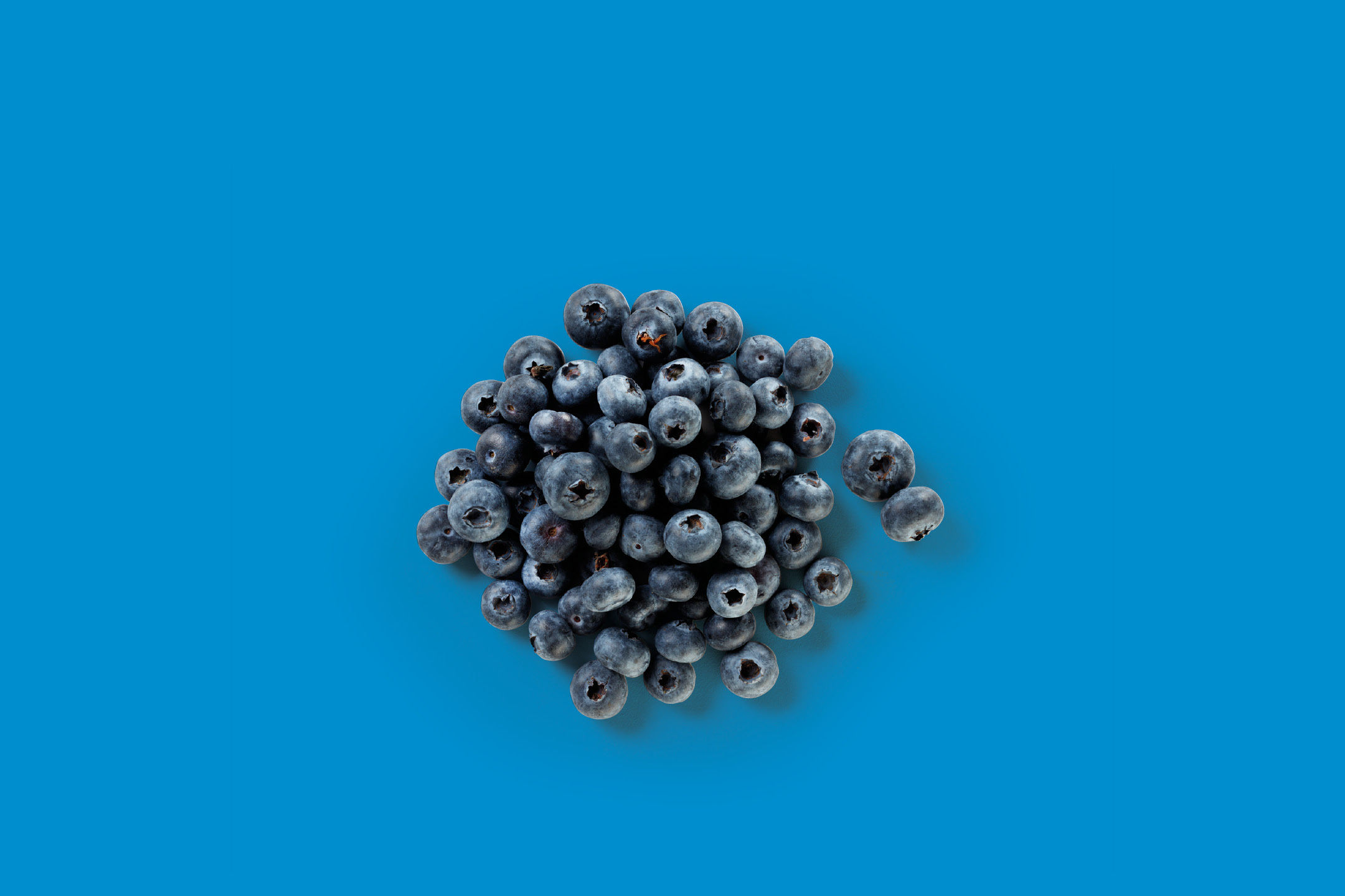 A pile of fresh blueberries on a vibrant blue background.