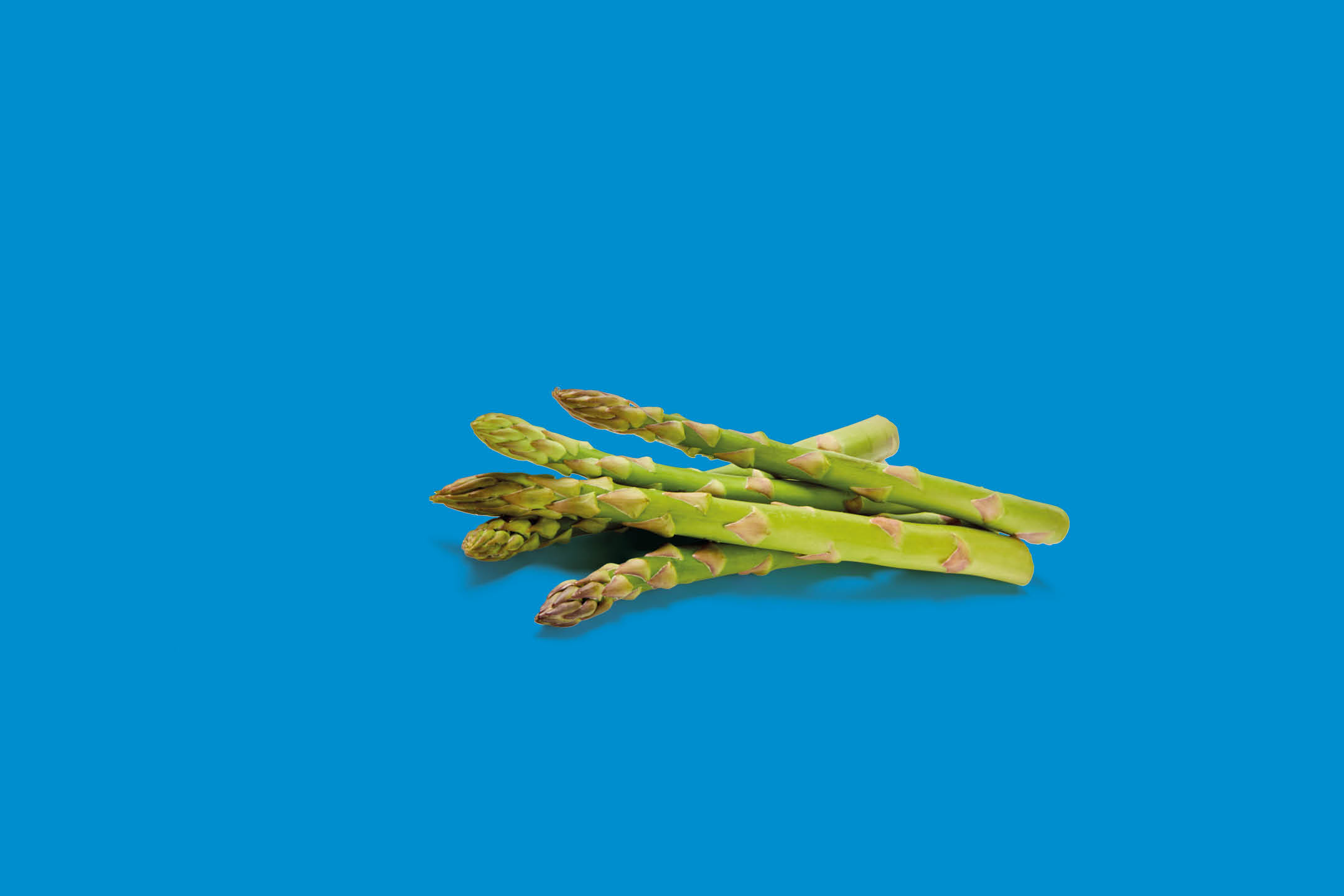 A pile of fresh green asparagus spears on a blue background.