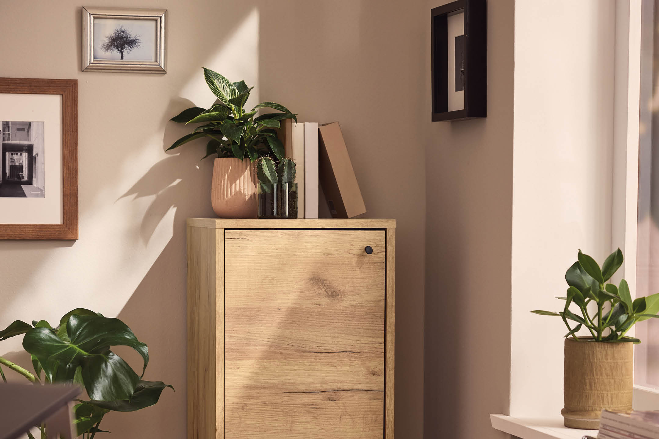 Wooden cabinet with plants and framed pictures, illuminated by natural light.